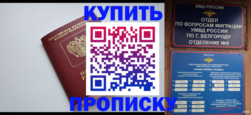 прописка регистрация в Асино